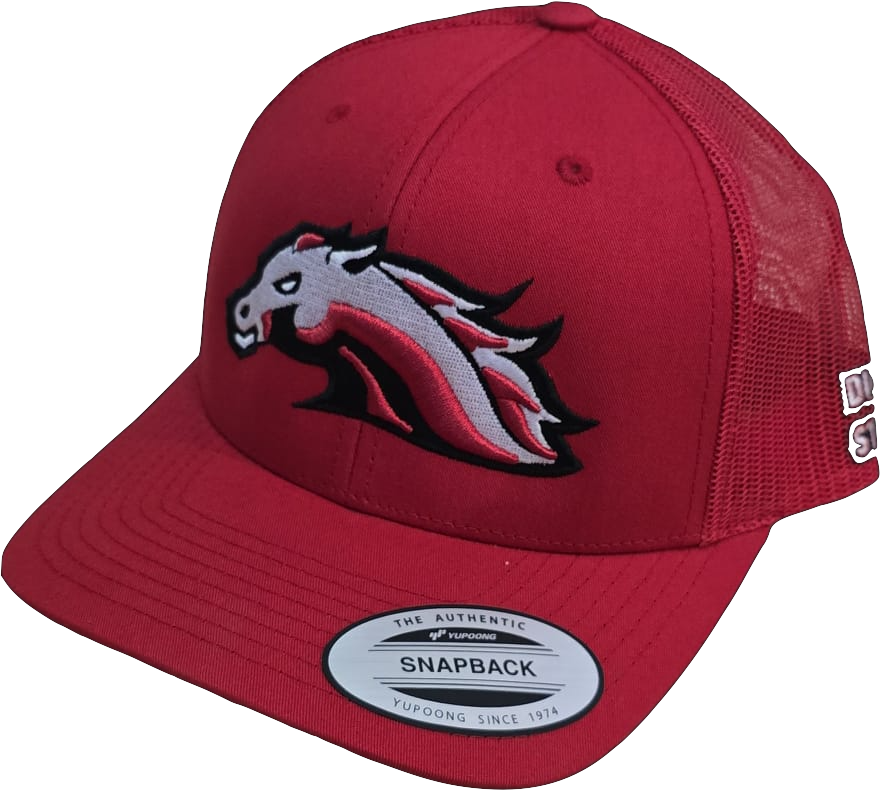 Team Cap - Dubai Stallions Red/Red